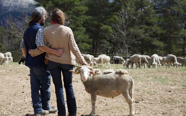 photos-tournage-animaux-1